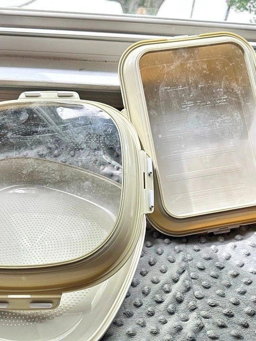 Crudités Portable Stretch-Lid Snack Tray Food Storage Set